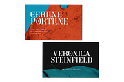 Crainzel - Display Serif Font, a Serif Font by Letterhend Studio (Thumbnail 6 of 9)