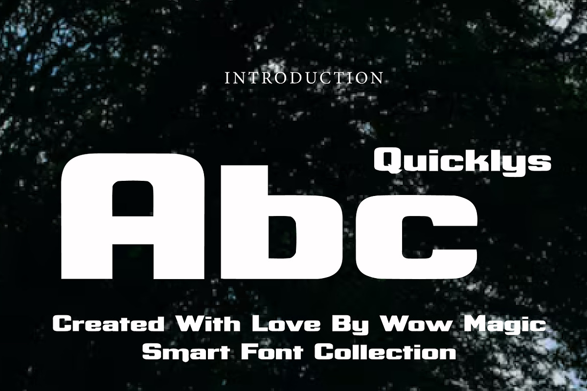 Quicklys, a Serif Font by Wow Magic (Photo 2 of 3)