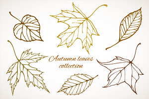 Fall Leaves Patterns Illustrations