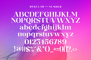 Brokline Serif Typeface, a Serif Font by Megatype (Thumbnail 14 of 16)