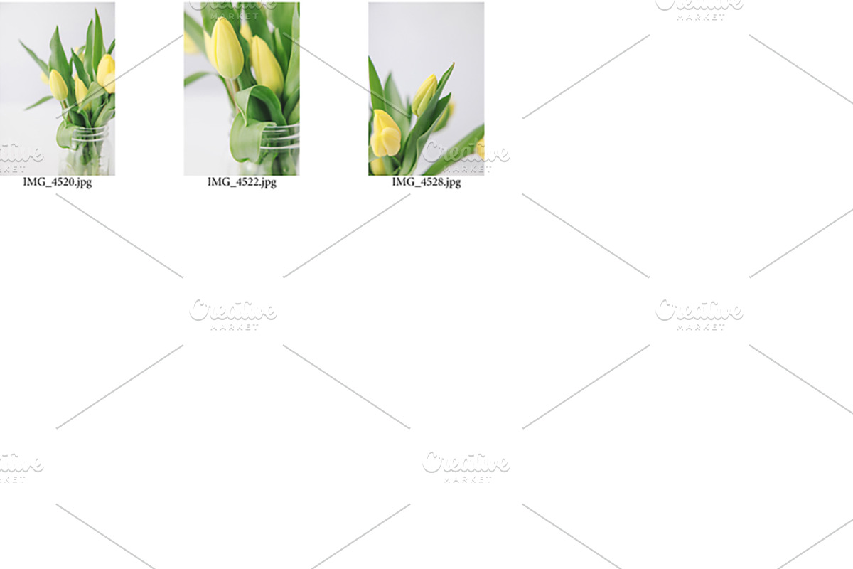 Minimalist Tulips Styled Stock, a Nature Photo by Susie Design Co (Photo 3 of 3)
