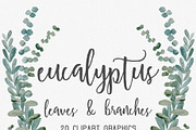 Eucalyptus Greenery Clipart Graphics, an Illustration by Wooly Pronto (Thumbnail 2 of 3)