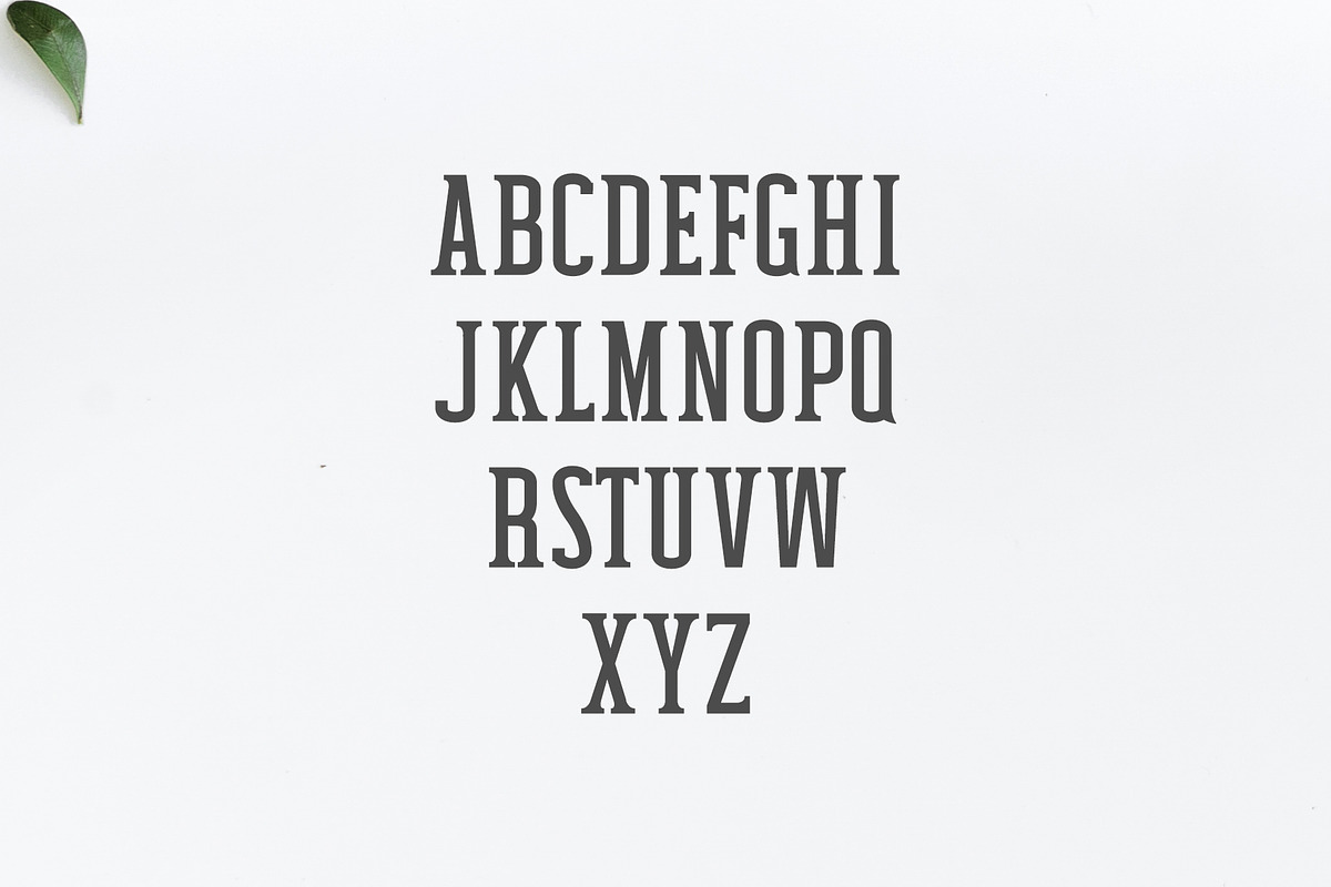 Mahlon Serif Font Family Pack preview 2