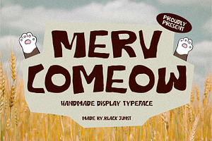 Merv Comeow – Handmade Display