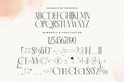 Horence  Ligature Serif Display, a Serif Font by Storytype Studio (Thumbnail 13 of 15)