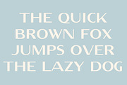 Fellinian - Mid Century Logo Sans, a Sans Serif Font by Anya-D (Thumbnail 2 of 17)