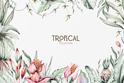 Tropical watercolor collection, an Animal Illustration by Peace ART (Thumbnail 16 of 16)