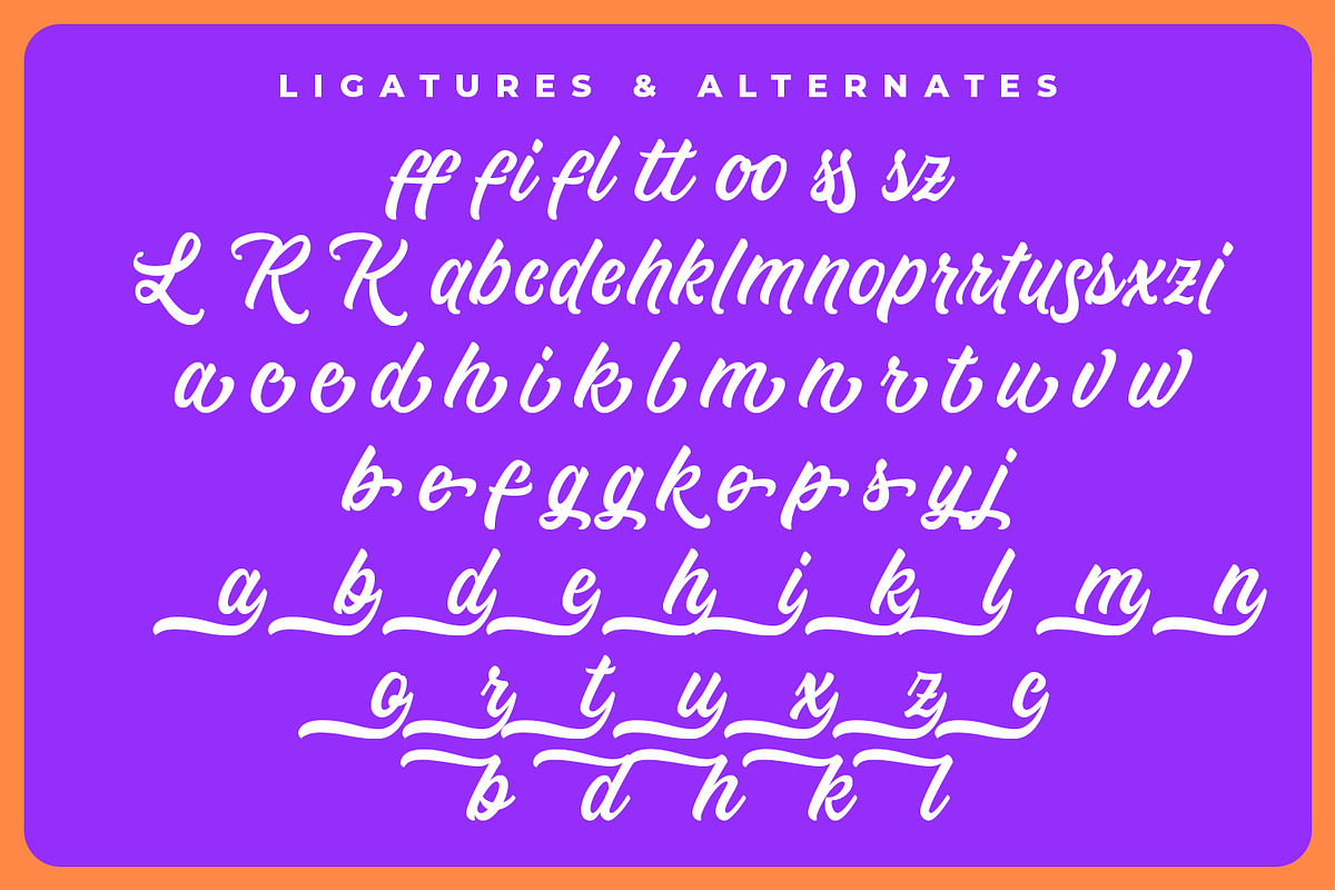 Honeybloom – Timeless Brush Script, a Script Font by Almarkhatype (Photo 10 of 11)