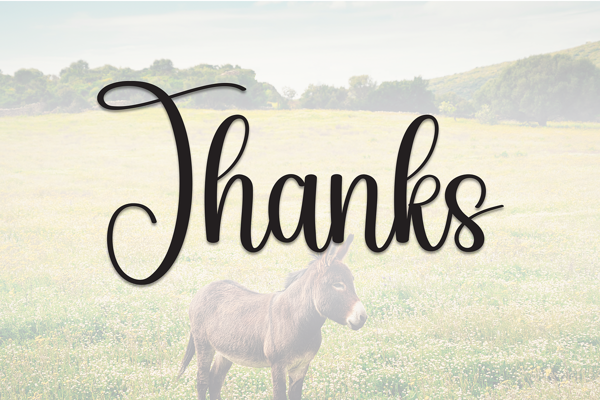 Donkey | Script Font, a Handwritten Font by Scratchones (Photo 9 of 9)