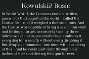 Kowalski2 family, a Serif Font by Leitmotif (Thumbnail 3 of 5)