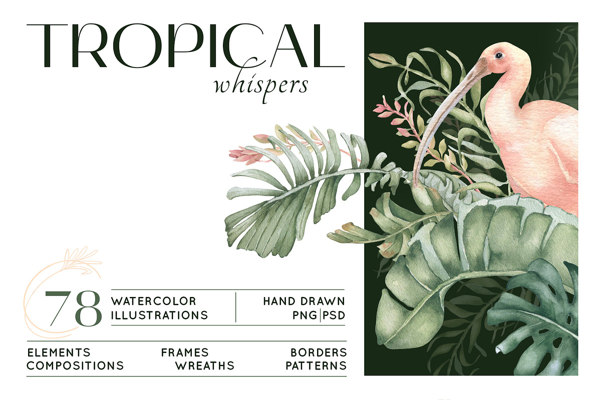Tropical leaves and birds watercolor, an Illustration by Kate Lanbina (Photo 1 of 19)