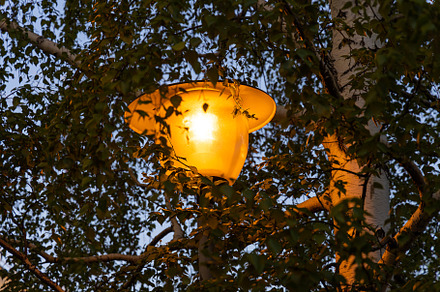 Orange beautiful street lighting lan, a Nature Photo by Illustrations&photos