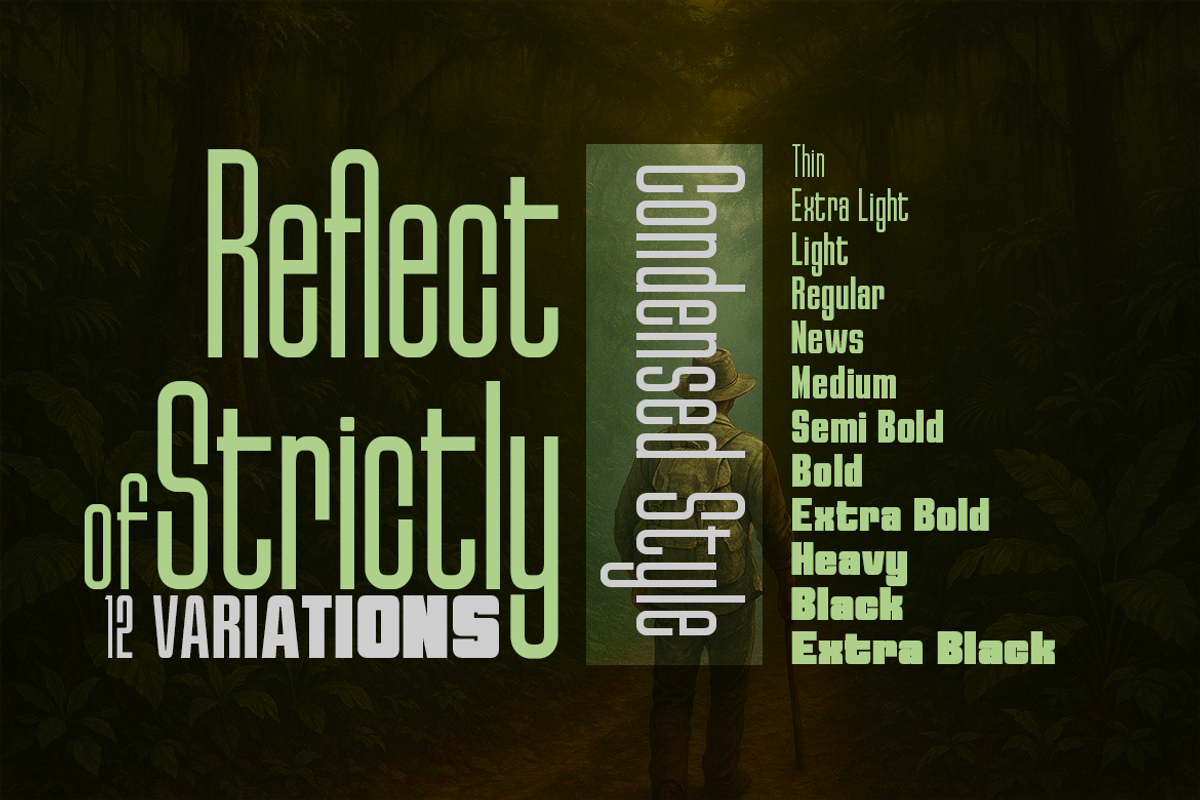The Essential Font Collection, a Sans Serif Font by groens (Photo 4 of 19)