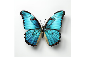 A Blue Butterfly Sitting On Top Of A