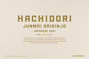 Rue Du Cremeux, a Slab Serif Font by Komet & Flicker (Thumbnail 11 of 13)