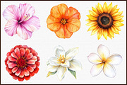 Watercolor Summer Flowers Clipart, an Illustration by Sublimation Artist (Thumbnail 3 of 6)