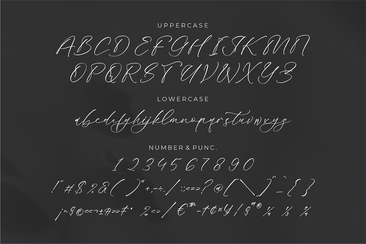 Mandela Clashinta Luxury Calligraphy, a Script Font by Storytype Studio (Photo 13 of 15)