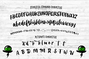 Stonestick Imperfect Script, a Script Font by JROH Creative (Thumbnail 7 of 9)