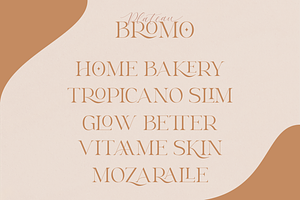 Bromo Plateau - Classy Font Duo