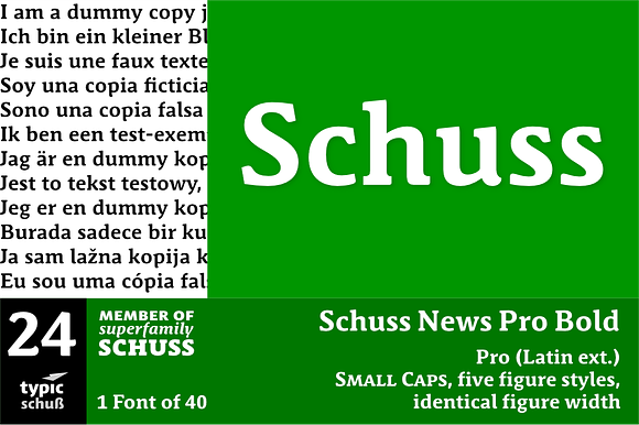 SchussNewsProBold No.24 (1 Font) preview 6