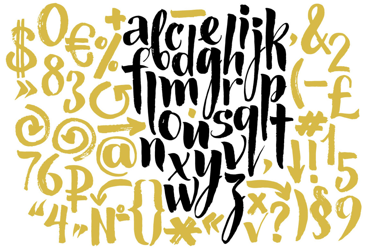 Calligraphic alphabet, an Illustration by Vera Holera