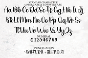 Party Delight, a Handwritten Font by FreshTypeINK (Thumbnail 2 of 8)