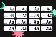 Guffier - Retro Display Typeface, a Serif Font by Typetemp Studio (Thumbnail 3 of 12)
