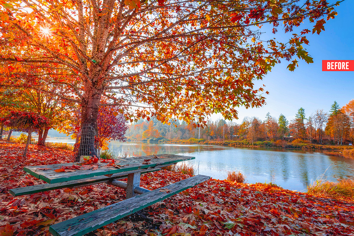 Pure Watercolor Photoshop Action, an Action Add-On by Design Forest (Photo 12 of 32)