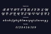 Aulora Script, a Script Font by Typehill (Thumbnail 5 of 8)
