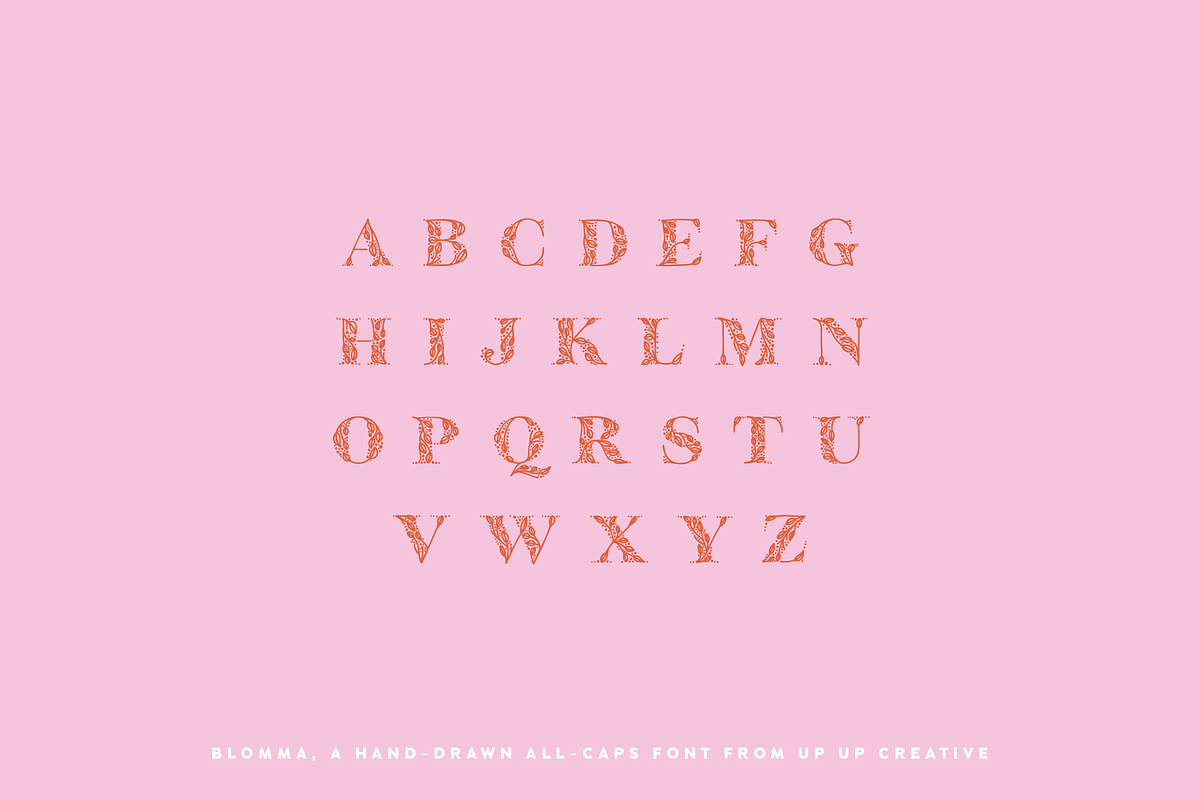 Blomma Hand-Drawn Display Font, a Serif Font by Up Up Creative (Photo 6 of 12)