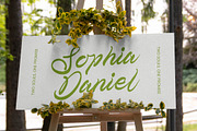 Telmi Bonsha Elegant Brush Script, a Script Font by stylishtype.co (Thumbnail 10 of 10)