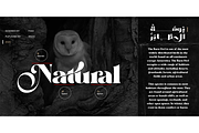 Stazin Font, a Font by Foda Foundry (Thumbnail 10 of 11)