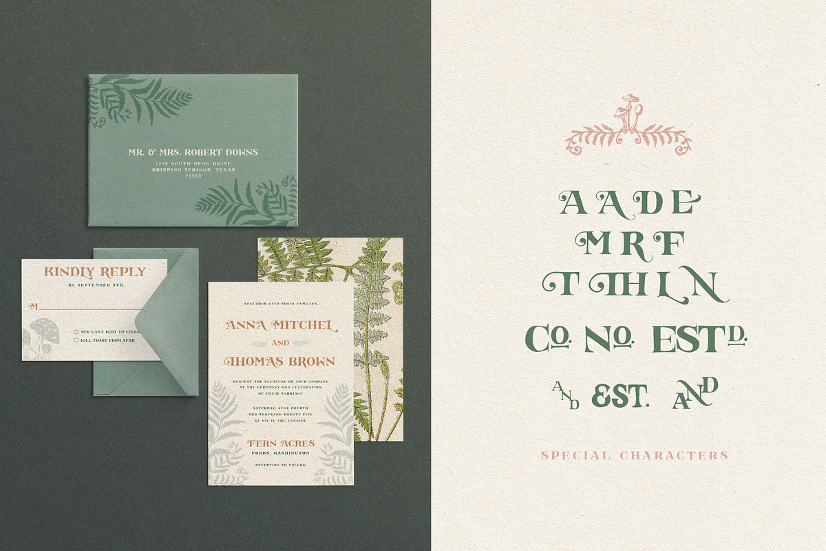 Falconette Font, a Font by Antiquaria (Photo 7 of 7)