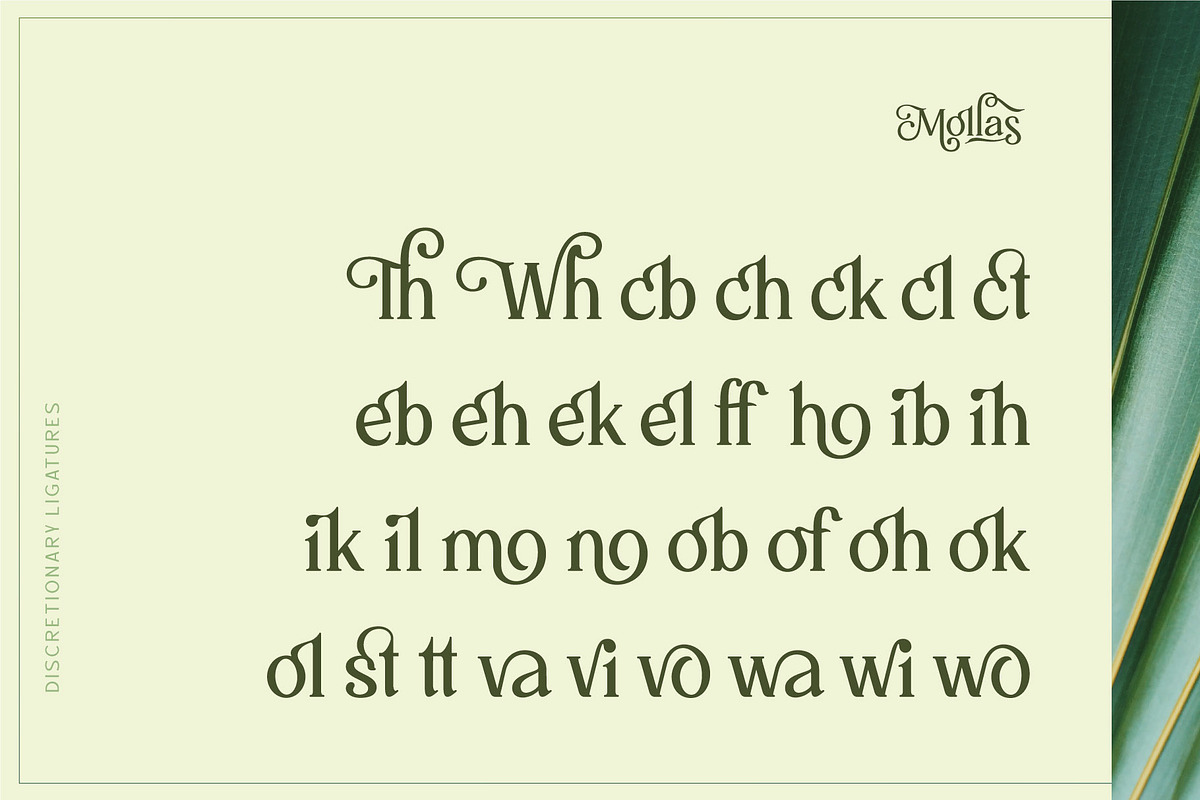Mollas Typeface, a Serif Font by alit design (Photo 8 of 18)