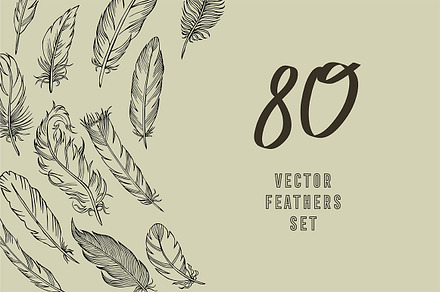 Vector feathers