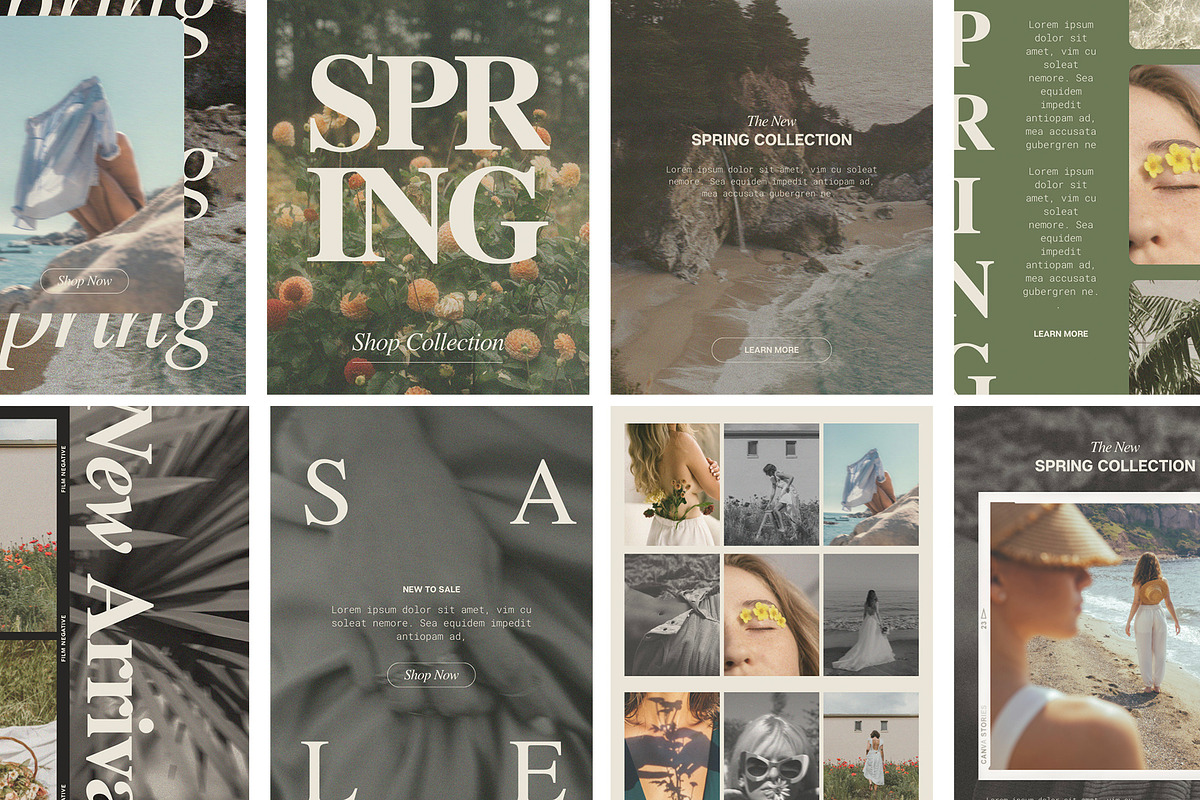 Palms Email Newsletter Template, a Templates & Theme by JZ Creative Space (Photo 2 of 2)