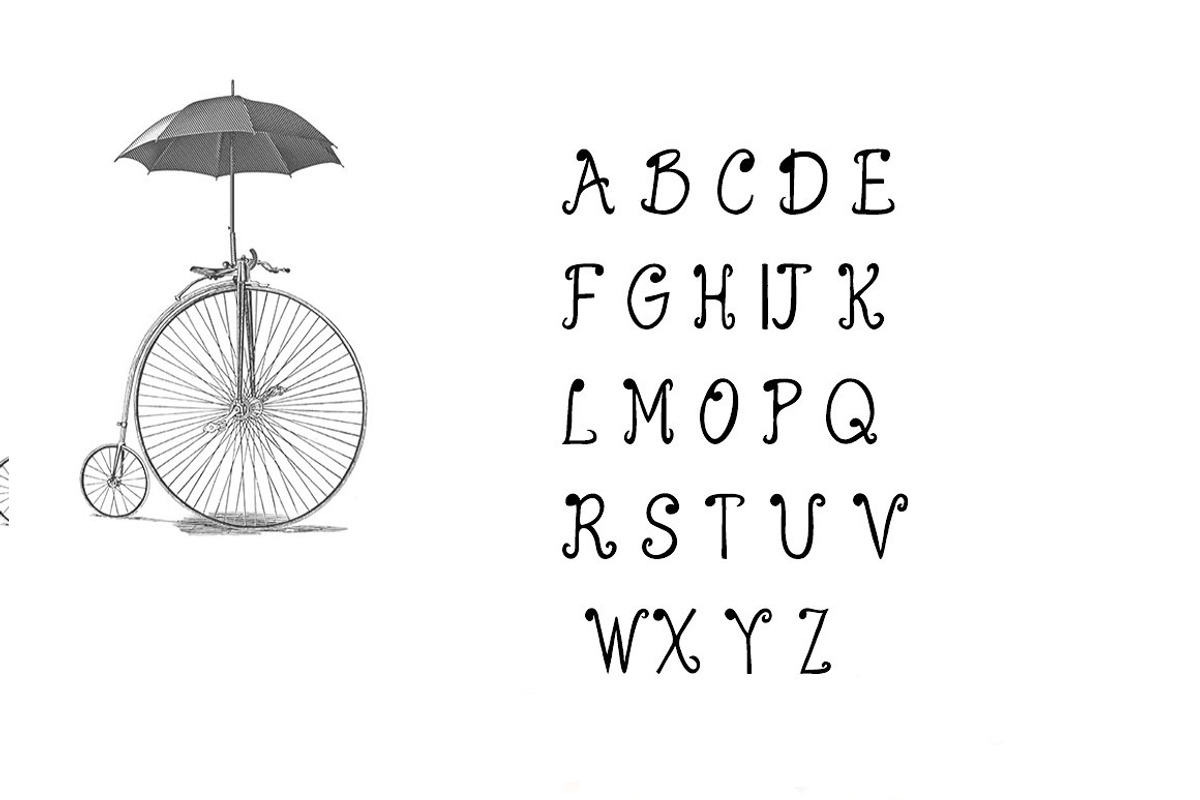 Curly Typeface Fonts preview 2