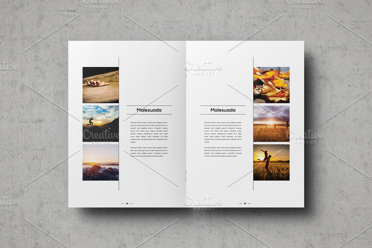 Multipurpose Portfolio Template, a Brochure Template by ShapShapy (Photo 10 of 14)