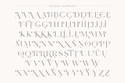 Lovalina - Elegant Serif Font Family, a Serif Font by Craft Supply Co. (Thumbnail 14 of 15)