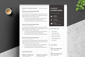 Modern Resume Template Format