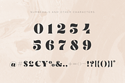 MADE Bruno, a Serif Font by MadeType (Thumbnail 14 of 19)