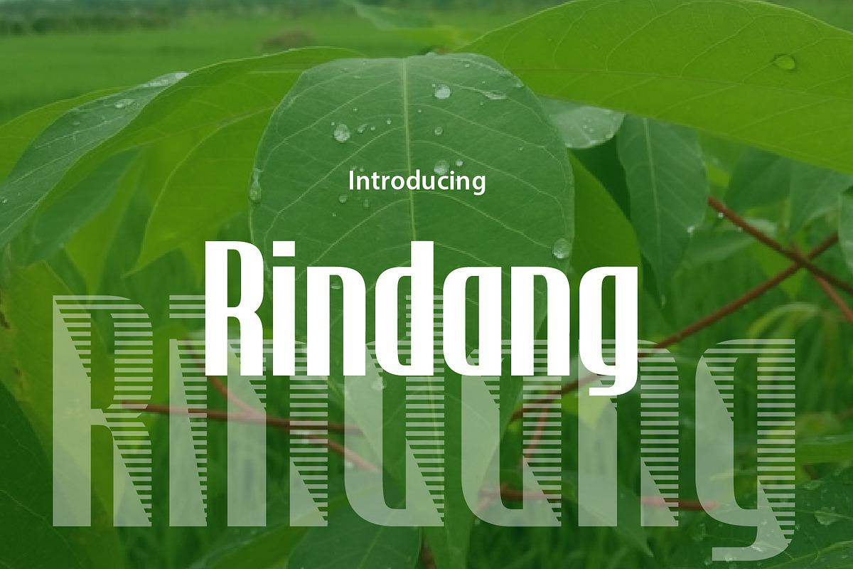 Rindang, a Sans Serif Font by da_only_aan (Photo 2 of 5)