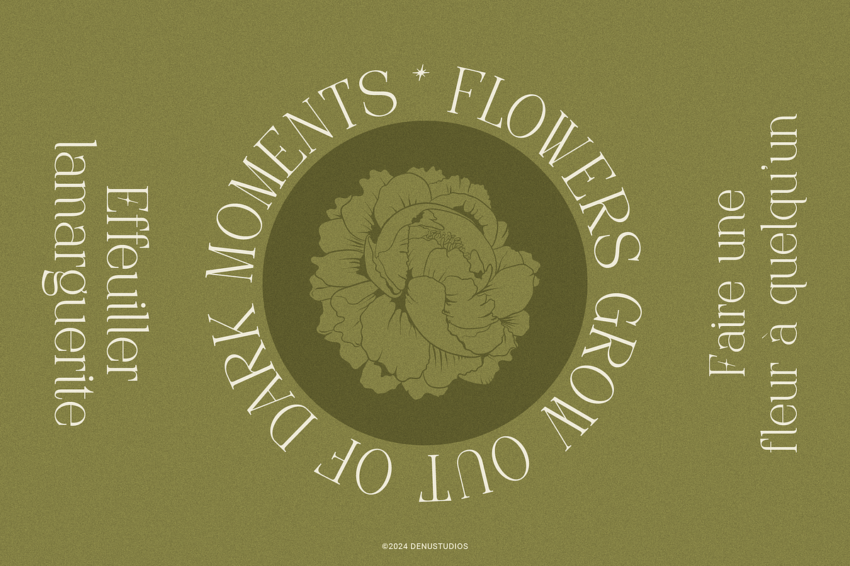 Frieren La Belle | Modern Serif, a Serif Font by Denustudios (Photo 7 of 13)