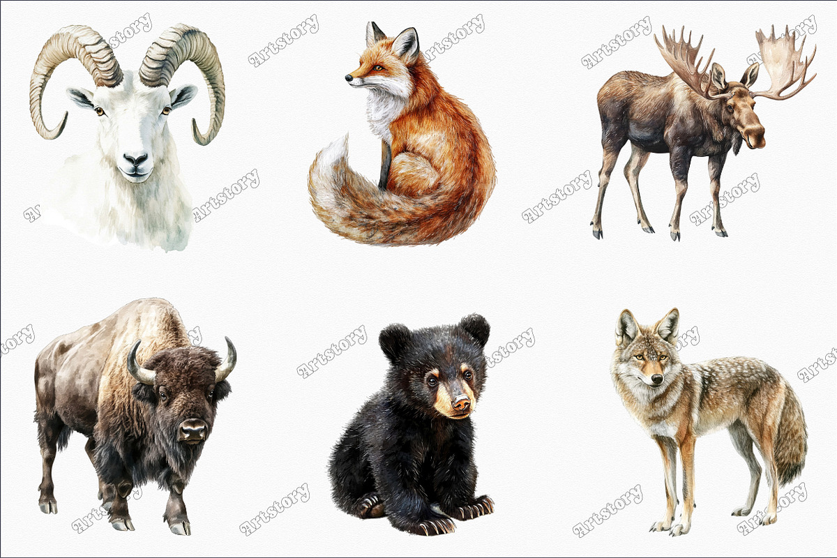 Watercolor Wildlife Nature Animals, an Illustration by designcity5 (Photo 3 of 5)
