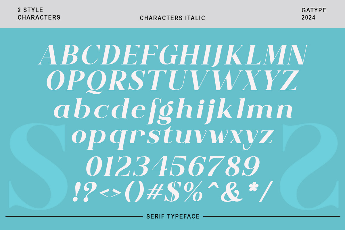 Bedicta Hosta, a Serif Font by Gatype (Photo 8 of 10)