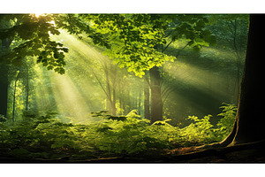beach nature summer background ai, a Nature Photo by pikepicture