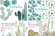 Watercolor Cacti & Succulent 4 pack, an Illustration by Valeri Nick (Thumbnail 1 of 6)