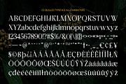 CS Quiles – Elegant Font, a Serif Font by Craft Supply Co. (Thumbnail 8 of 8)