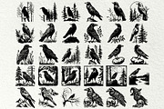 Crow SVG File. Raven Clipart PNG, an Animal Illustration by DENIDigitalArtSudio (Thumbnail 6 of 8)