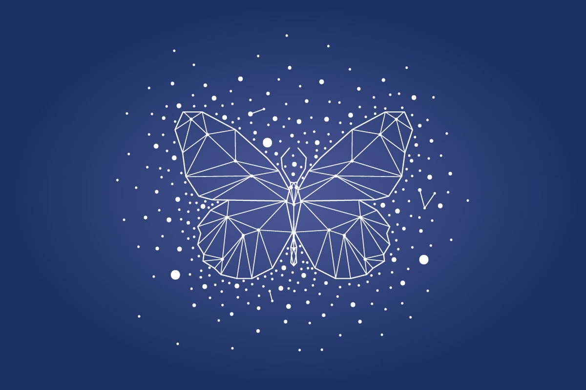 Geometric animals. Night sky., a Background Graphic by lycka (Photo 6 of 7)